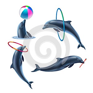 Dolphin Circus Realistic Icon Set