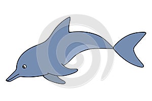 Dolphin. Color vector illustration. Marine mammal. Ocean dweller. Isolated background. Cartoon style.