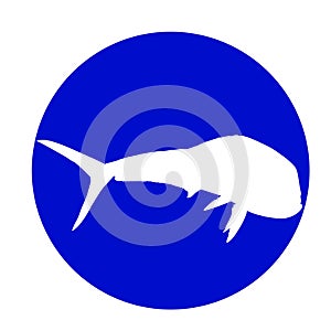 A dolphin fish silhouette