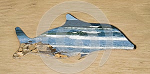 Dolphin Framed View of the Ocean