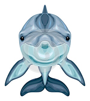 Dolphin frontal view, vector isolated animal