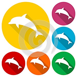 Dolphin icons set with long shadow