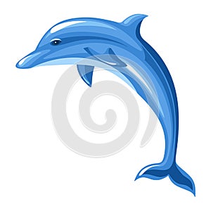 Dolphin. photo