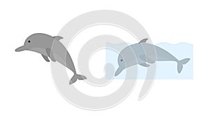 Dolphin isolated and in water. Cute surfacing dolphin shows fin. Cartoon marine animal. Flat creature