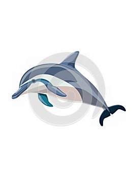 dolphin isolated on white transparent background. PNG format