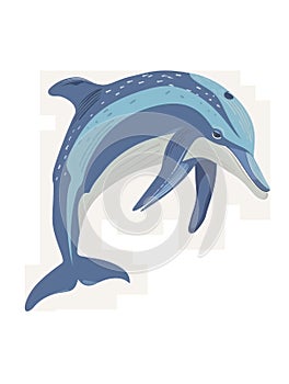 dolphin isolated on white transparent background. PNG format