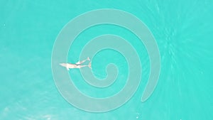 A Dolphin and its baby swim near Omadhoo Island, Maldives  - Drone Video