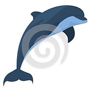 Dolphin jumping, illustration, vector on white background