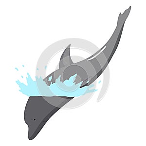 Dolphin jumping out of water animation element. Illustration of dolphin performing an acrobatic jump in the ocean. Great