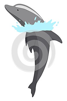 Dolphin jumping out of water animation element. Illustration of dolphin performing an acrobatic jump in the ocean. Great