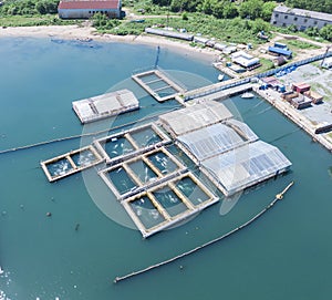 Dolphin and killer whale cages