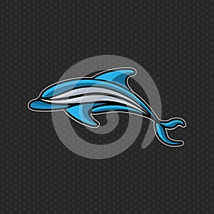 Dolphin logo icon vector design template