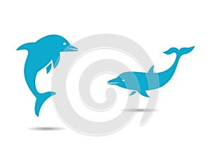 Dolphin logo template