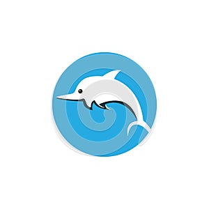 Dolphin logo template vector