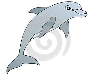 Dolphin is a marine mammal. Bottlenose dolphin - full color vector picture.
