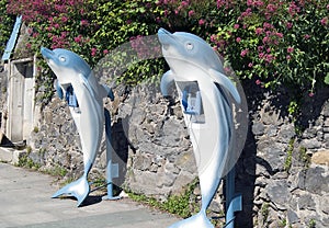 Dolphin phone