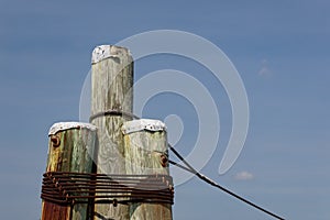 Dolphin piling, three poles strapped together with metal binding, rope mooring line