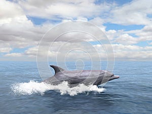 Dolphin, Porpoise, Sea, Ocean Illustration