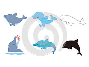 Dolphin set1