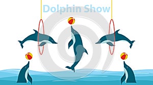 Dolphin show, dolphins jump over the ring and throw the ball.