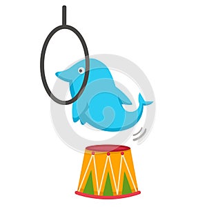 dolphin show illustration