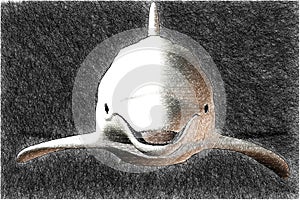 A dolphin sketch