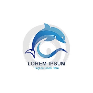 Dolphin smart fish jump logo in the sea template design icon