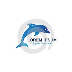 Dolphin smart fish jump logo in the sea template design icon