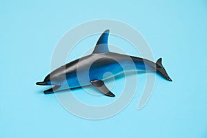 Dolphin toy on blue background.