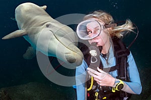 Dolphin underwater meets a blonde scuba diver
