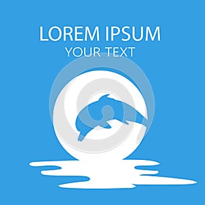 Dolphin vector design