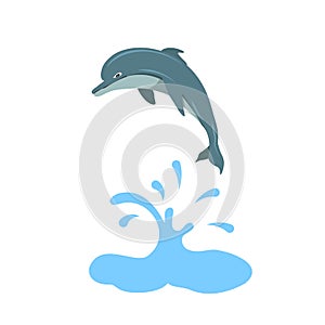 Dolphin vector design