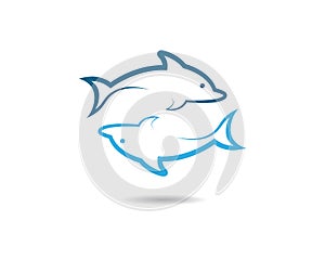 Dolphin vector icon illustration design