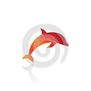 Dolphin vector logo design.