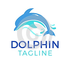 Dolphin vector logo template design