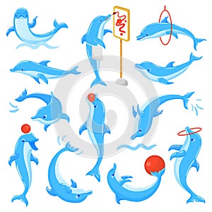 Dolphin vector seafish character drawing or dolphinfish playing undersea illustration sealife set of blue fish in