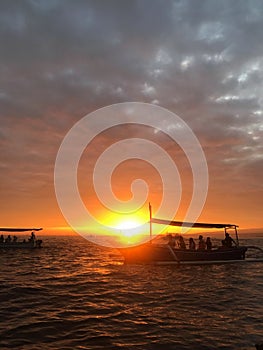 Dolphin Watching in Lovina