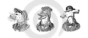 Dolphin and White Mouse and Great hammerhead shark in hat and suit. Victorian lady or woman and man. Fashion animal