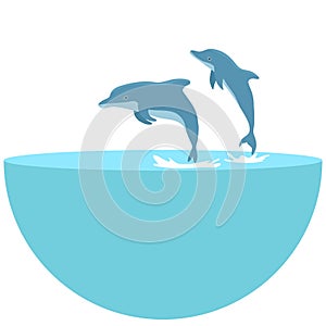 The dolphin who is jumping out of sea water on white background. jumping dolphins in the sea. The blue dolphin