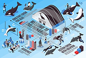 Dolphinarium Isometric Infographic Scheme