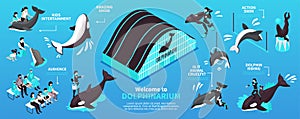 Dolphinarium Isometric Infographics Layout