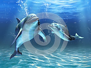 Dolphins