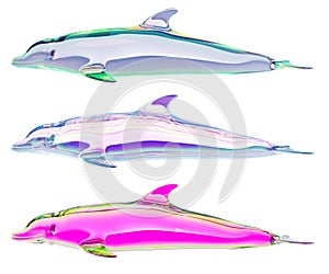 Dolphins