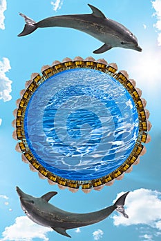 Delfíny a blankyt planéta na nebo 