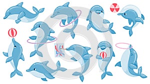 Dolphins with balls. Cute cartoon blue dolphin character play, jump through hoop and draw. Marine animal dolphinarium