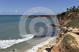 Dolphins Cove - Natal Brazil beaches