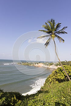 Dolphins Cove - Natal Brazil beaches
