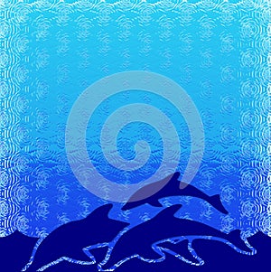 Dolphins illustration