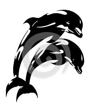 Dolphins isolated illustration. marine mammals