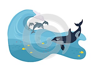 Dolphins jump out of the water. The killer whale swims in the ocean. Dolphins and killer whale in the ocean. Vector illustration